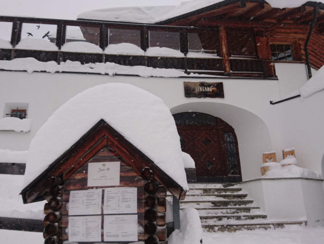 SCHNEEKÖNIGE SCHNEEKÖNIGE